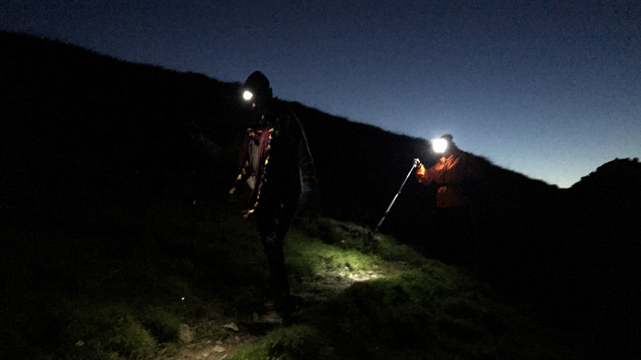 wilderness survival