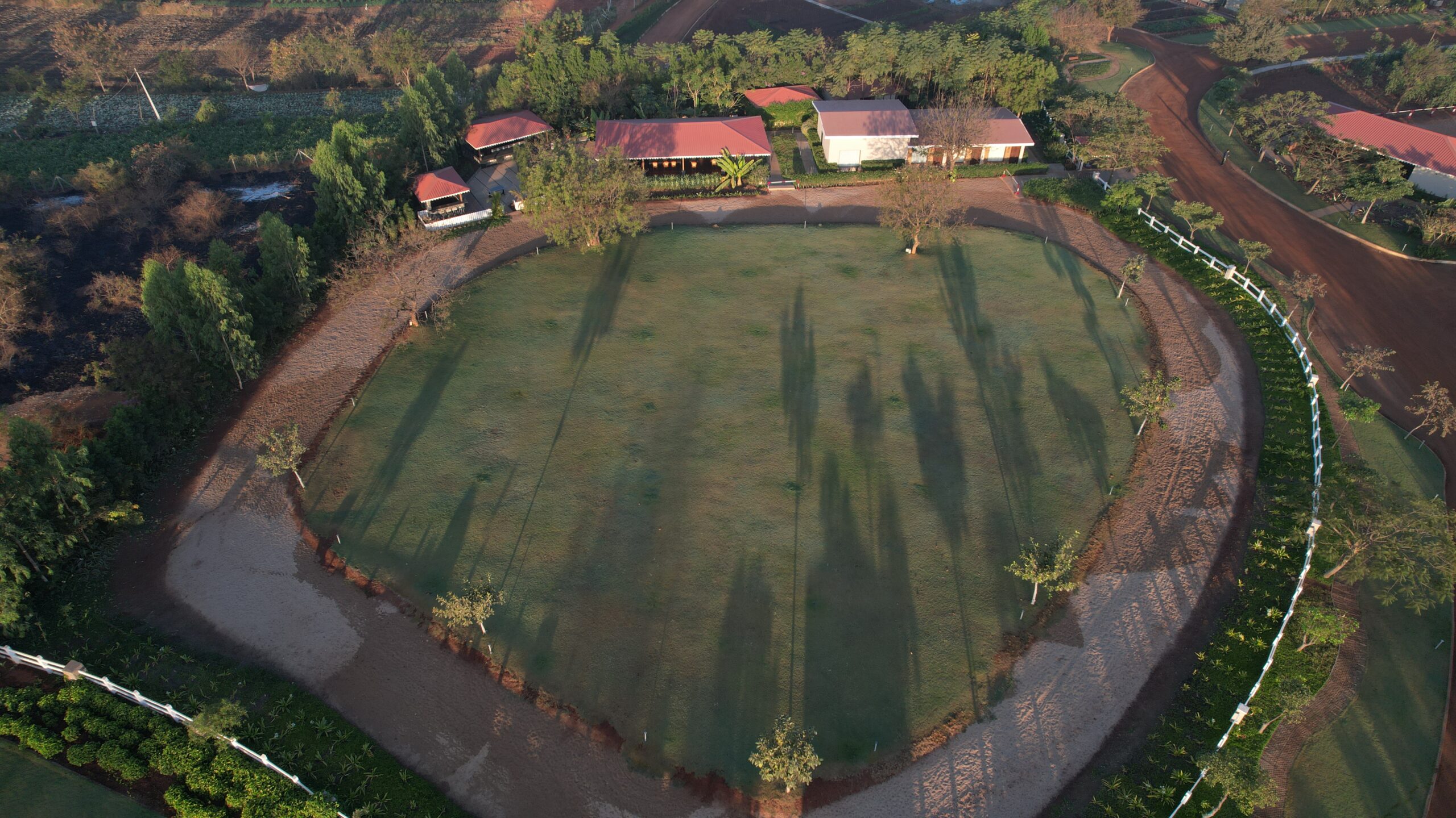 open field
