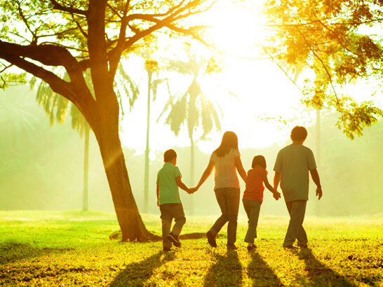 Nature Walk